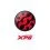 XPG