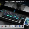 AULA M75 Tri-Mode TKL Mechanical Gaming Keyboard Blue+Black+Green Blue Switch