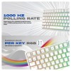 Cosmic Byte CB-GK-42 Phantom TKL Gasket Mechanical Wired Swappable Keyboard with PreLubed Switches Cosmic Byte CB-GK-42 Phantom TKL Gasket Mechanical Wired Swappable Keyboard with PreLubed Switches