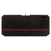 MSI INTERCEPTOR DS4100