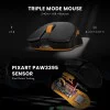 Cosmic Byte Velox Wireless Tri Mode Gaming Mouse Black Cosmic Byte Velox Wireless Tri Mode Gaming Mouse Black