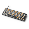GLORIOUS PANDA MECHANICAL SWITCHES (x36 lubed) GLORIOUS PANDA MECHANICAL SWITCHES (x36 lubed)