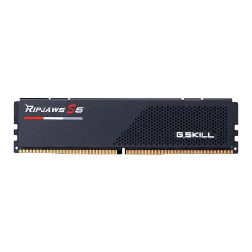 G.Skill Ripjaws S5 16GB (16GBx1) DDR5 5600MHz Black F5-5600J4040C16GX1-RS5K