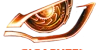 Gigabyte 